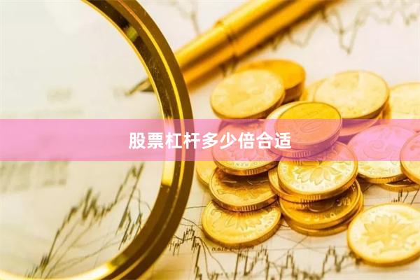 股票杠杆多少倍合适