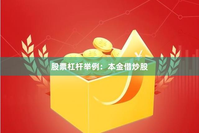 股票杠杆举例：本金借炒股